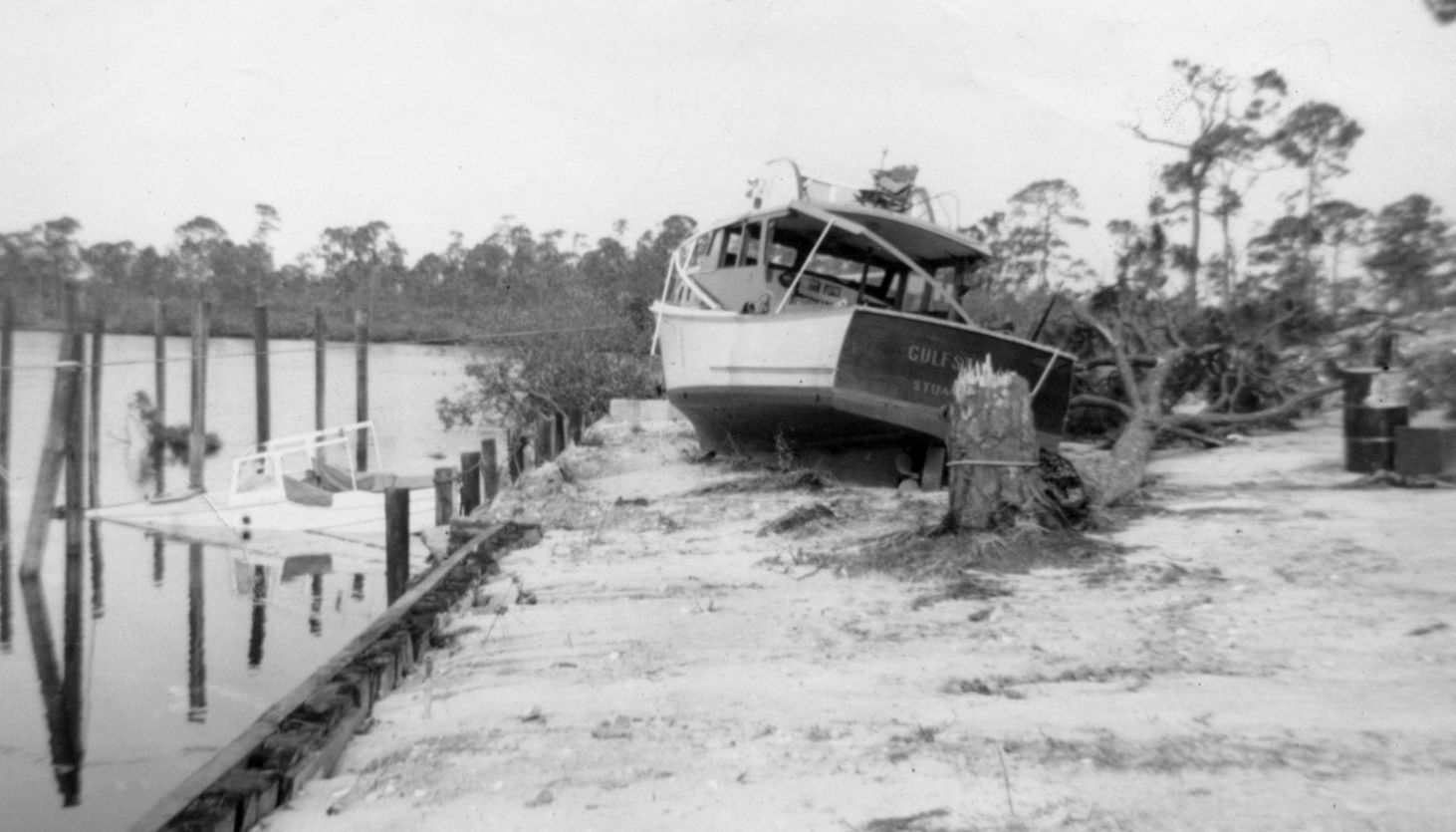 Click to See Next Image